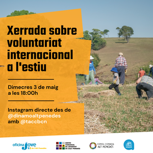 XERRADA DE VOLUNTARIAT INTERNACIONAL A L'ESTIU